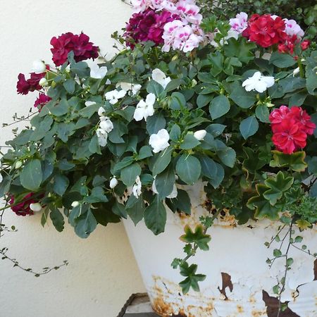 Pension Waldliesel Dornstetten Εξωτερικό φωτογραφία